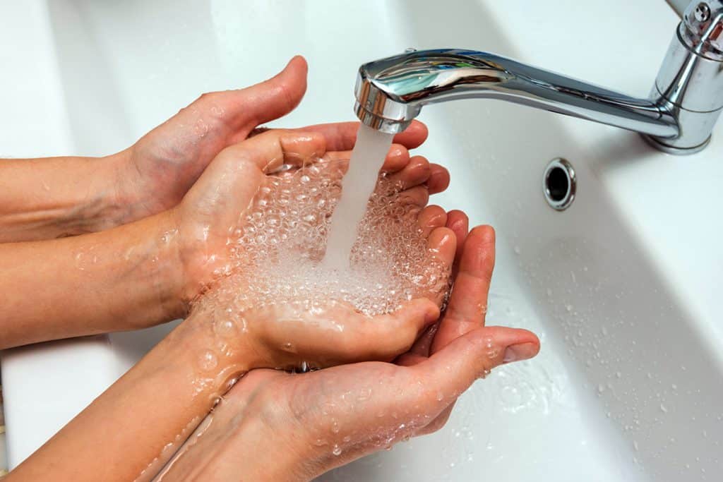 shutterstock1280241721-1024x683