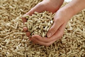 BIOMASS